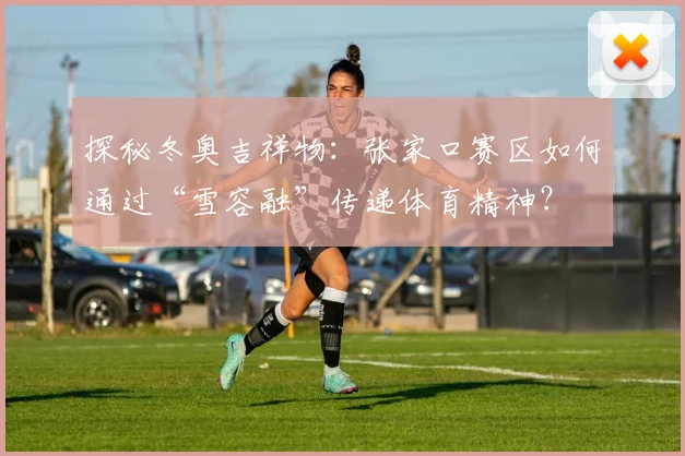 探秘冬奥吉祥物：张家口赛区如何通过“雪容融”传递体育精神？